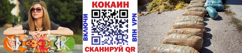 мега маркетплейс  купить закладку  Нижний Новгород  Cocaine Боливия 