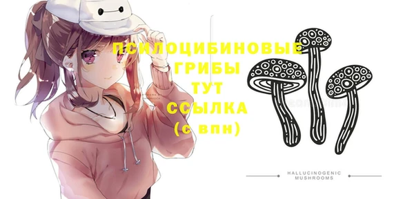 гашик Медвежьегорск