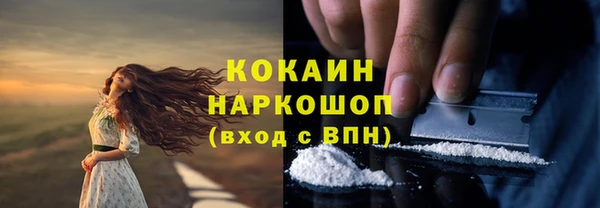 гашик Медвежьегорск