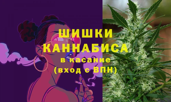 гашик Медвежьегорск