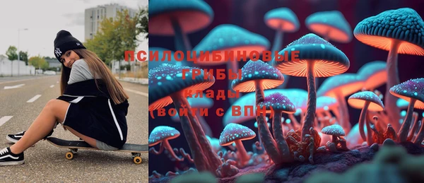 гашик Медвежьегорск