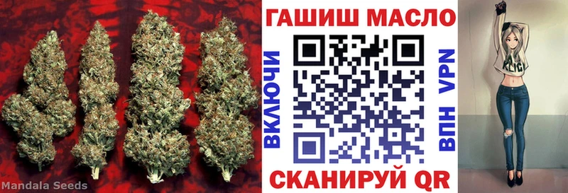 Дистиллят ТГК жижа  купить закладку  Нижний Новгород 