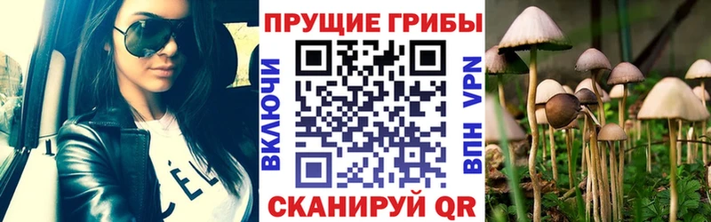 Галлюциногенные грибы Magic Shrooms  Нижний Новгород 
