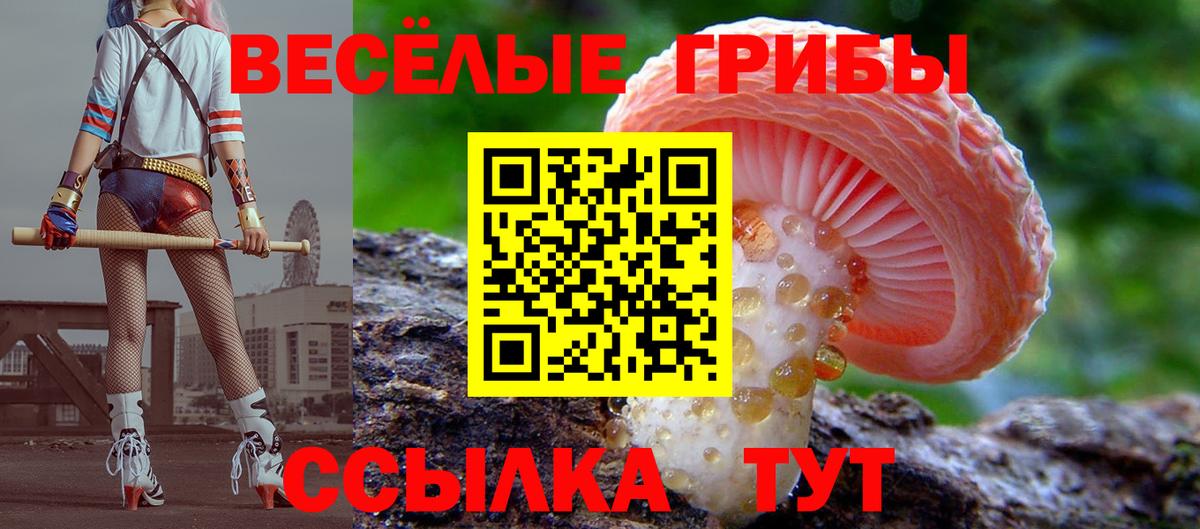 Галлюциногенные грибы Cubensis Нижний Новгород