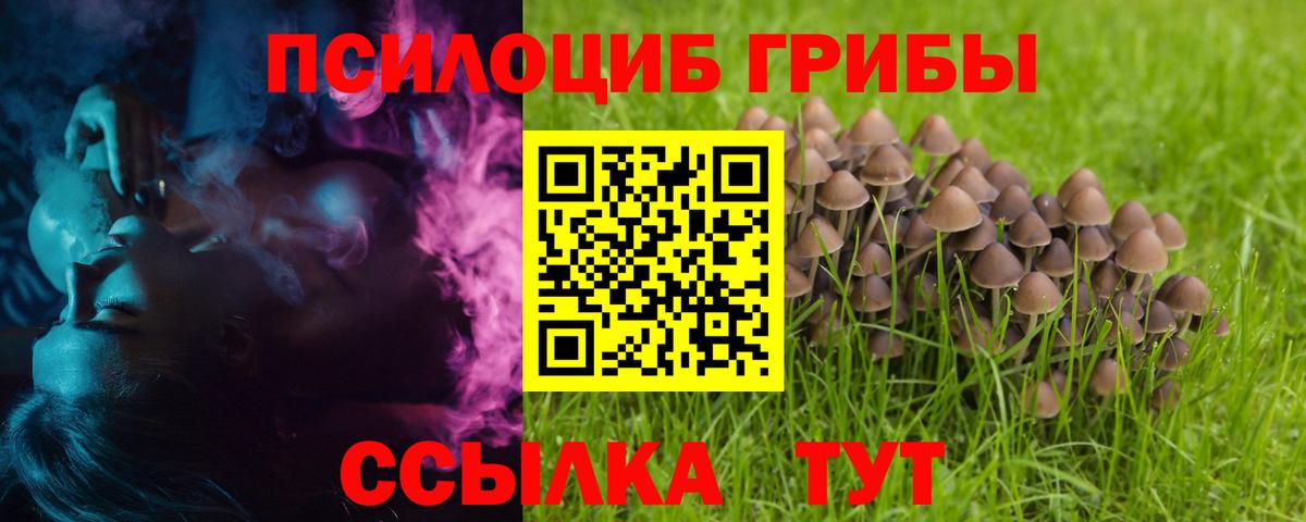 Нижний Новгород  Псилоцибиновые грибы GOLDEN TEACHER  Галлюциногенные грибы GOLDEN TEACHER  Вход с VPN 
